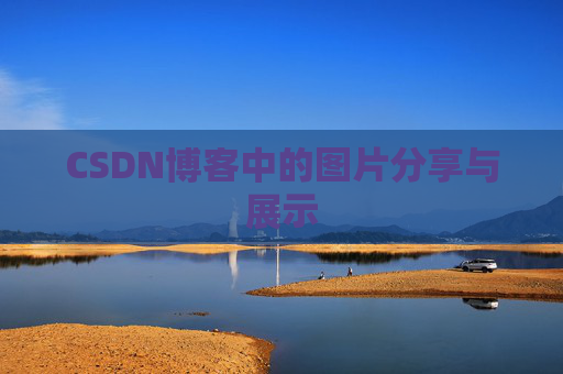 CSDN博客中的图片分享与展示